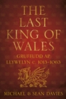 Image for The last King of Wales: Gruffudd ap Llywelyn, c. 1013-1063