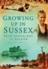 Image for Growing up in Sussex: from schoolboy to soldier