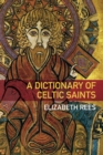 Image for A dictionary of Celtic saints
