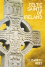 Image for Celtic saints of Ireland