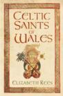 Image for Celtic Saints of Wales
