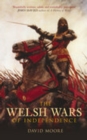 Image for The Welsh wars of independence c.410-c.1415
