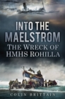 Image for Into the Maelstrom