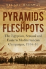 Image for Pyramids and fleshpots  : the Egyptian, Senussi and Eastern Mediterranean campaigns, 1914-16