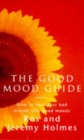 Image for The good mood guide  : how to embrace your pain and face your fears