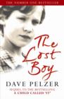 Image for The lost boy  : a foster child&#39;s search for the love of a family