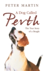 Image for A Dog called Perth