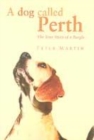 Image for A Dog called Perth