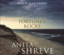 Image for Fortune&#39;s Rocks