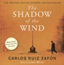 Image for The Shadow of the Wind