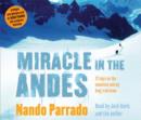 Image for Miracle in the Andes  : 72 days on the mountain and my long trek home