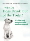 Image for Why do dogs drink out of the toilet?