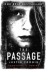 Image for The passage