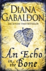 Image for An echo in the bone  : a novel