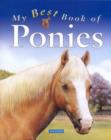 Image for My Best Book of Ponies