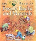 Image for My best book of fossils, rocks and minerals