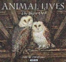 Image for The barn owl