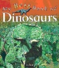 Image for My Best Book of Dinosaurs