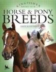 Image for HORSE &amp; PONY BREEDS
