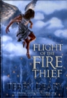 Image for Flight of the Fire Thief