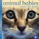 Image for Animal babies about the house