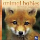 Image for Animal babies in towns and cities