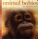 Image for Animal babies in rainforests