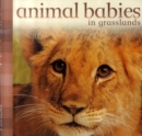 Image for ANIMAL BABIES IN GRASSLANDS