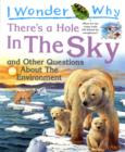 Image for I wonder why there&#39;s a hole in the sky  : and other questions about the environment
