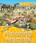 Image for Explorers Amazing Animals