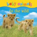 Image for Baby animals in the wild