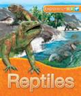 Image for Explorers: Reptiles