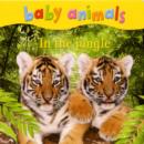 Image for Baby Animals: In the Jungle