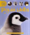 Image for Life Cycles: Polar Lands