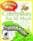 Image for I Wonder Why Caterpillars Eat So Much