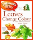Image for I Wonder Why Leaves Change Colour
