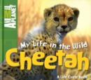 Image for Animal Planet My Life in the Wild: Cheetah