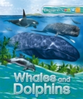 Image for Explorers: Whales and Dolphins