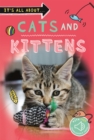 Image for Cats and kittens