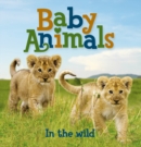 Image for US Baby Animals: Wild Animals