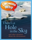 Image for I Wonder Why There&#39;s a Hole in the Sky: And Other Questions About the Environment