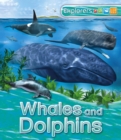 Image for US Explorers: Whales and Dolphins