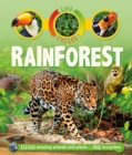 Image for Life Cycles: Rainforest
