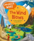 Image for I Wonder Why the Wind Blows