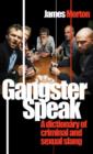 Image for Gangster speak  : a dictionary of criminal and sexual slang