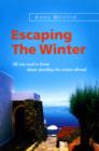 Image for Escaping the winter: all you need to know about spending the winter abroad