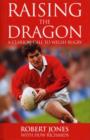 Image for Raising the dragon: a clarion call to Welsh rugby