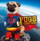 Image for Pugs in costumes.