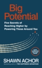 Image for Big potential  : five secrets of reaching higher by powering those around you