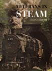 Image for Veterans in steam